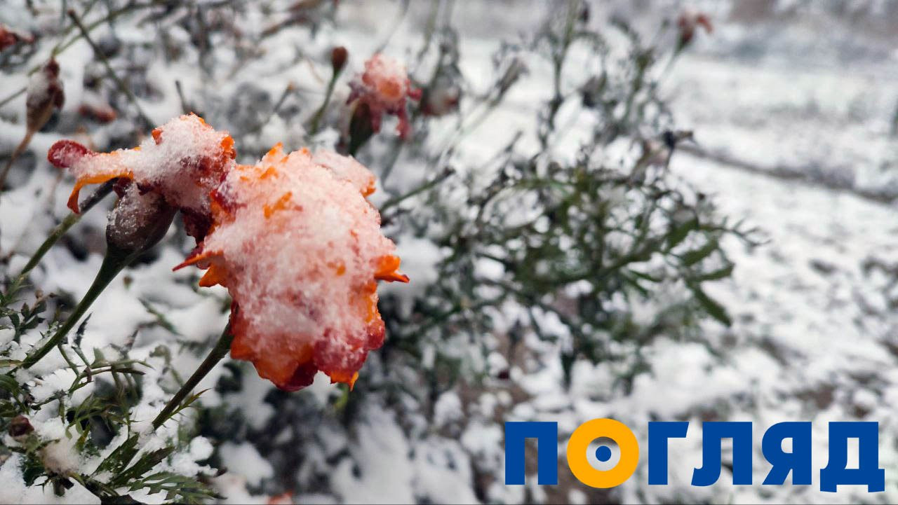 На Київщині випав перший сніг: ФОТО - 1 - зображення